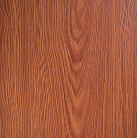 ����˪��